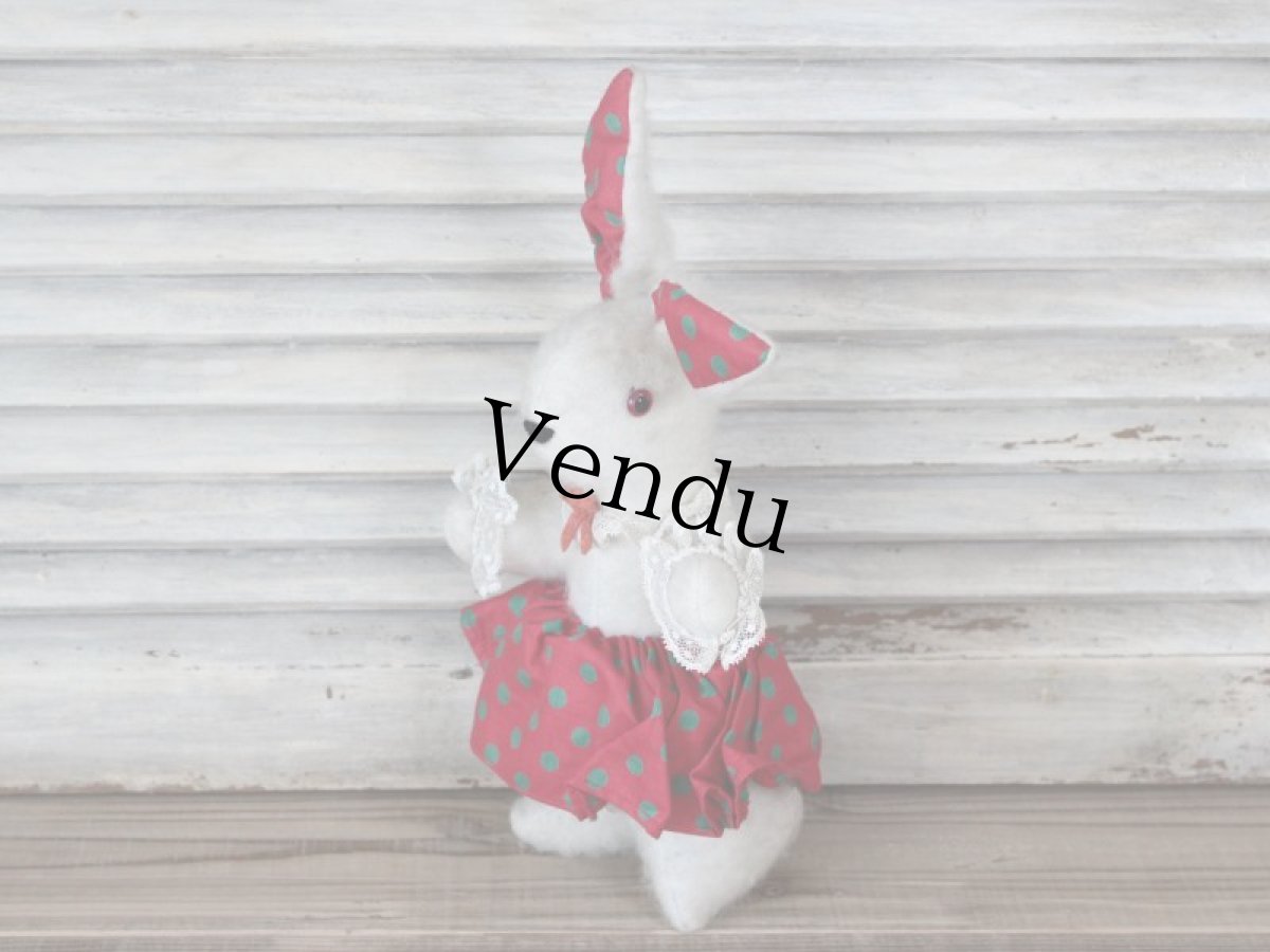 画像3: ドット耳の白兎/French (3)