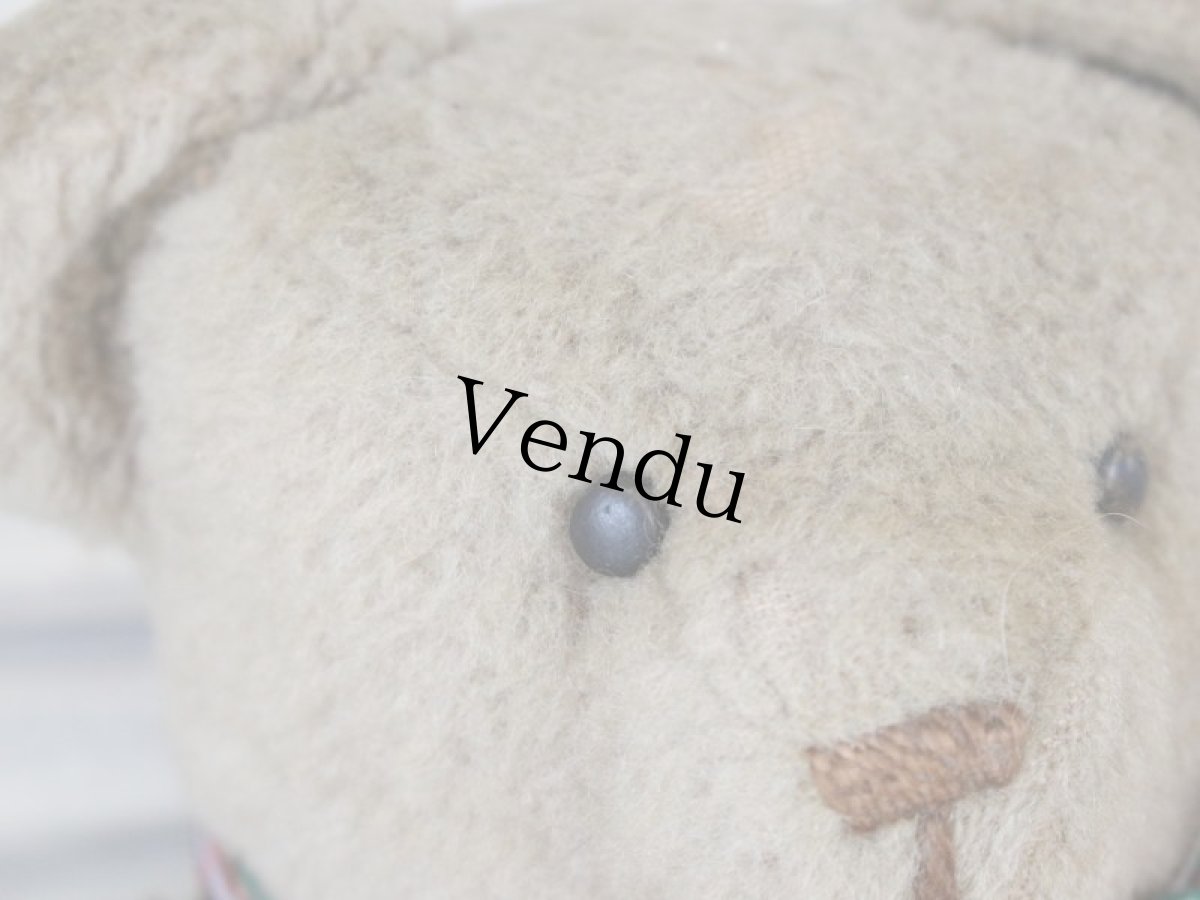 画像9: ベージュのフレンチベア (9)