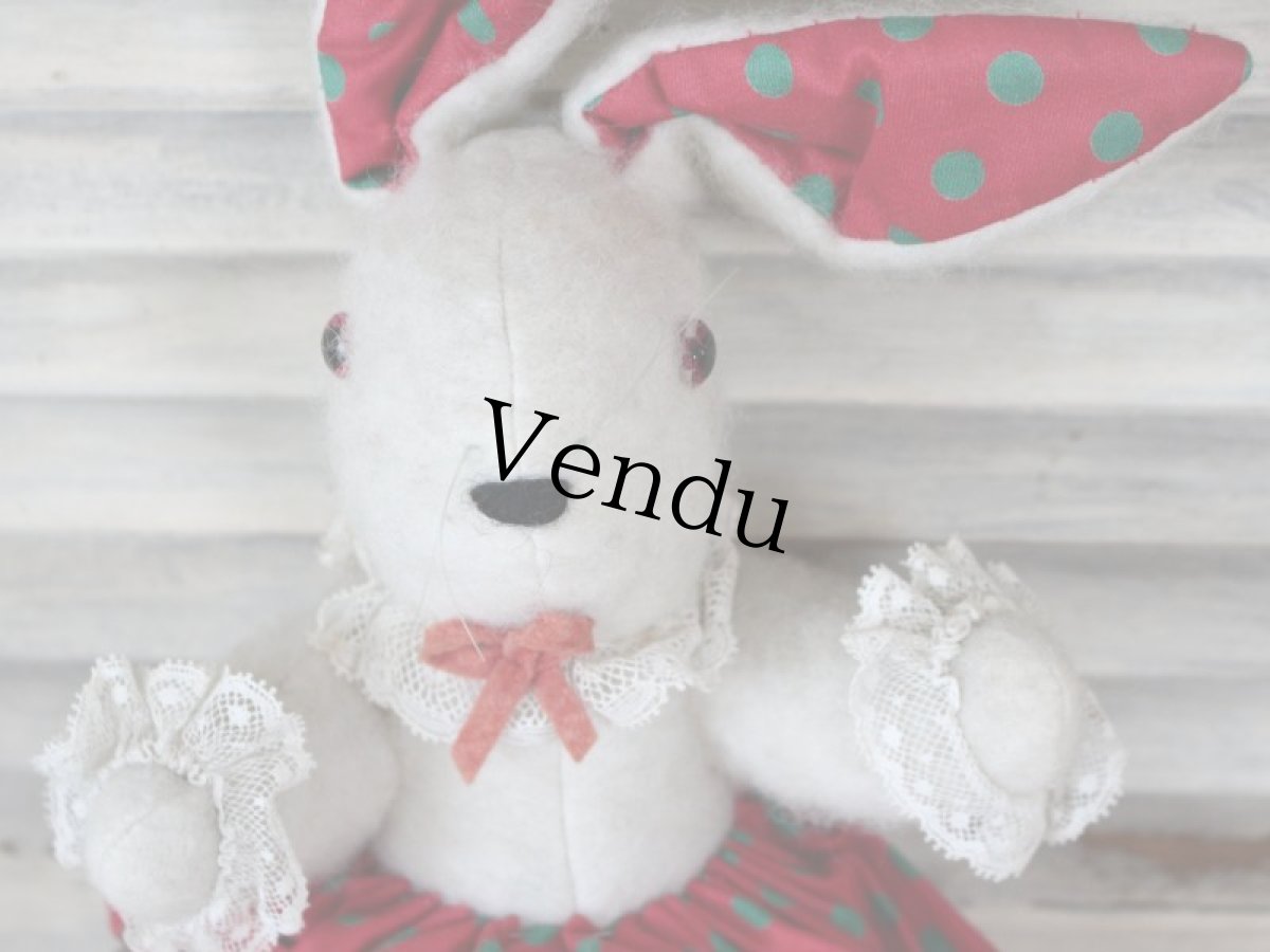 画像5: ドット耳の白兎/French (5)