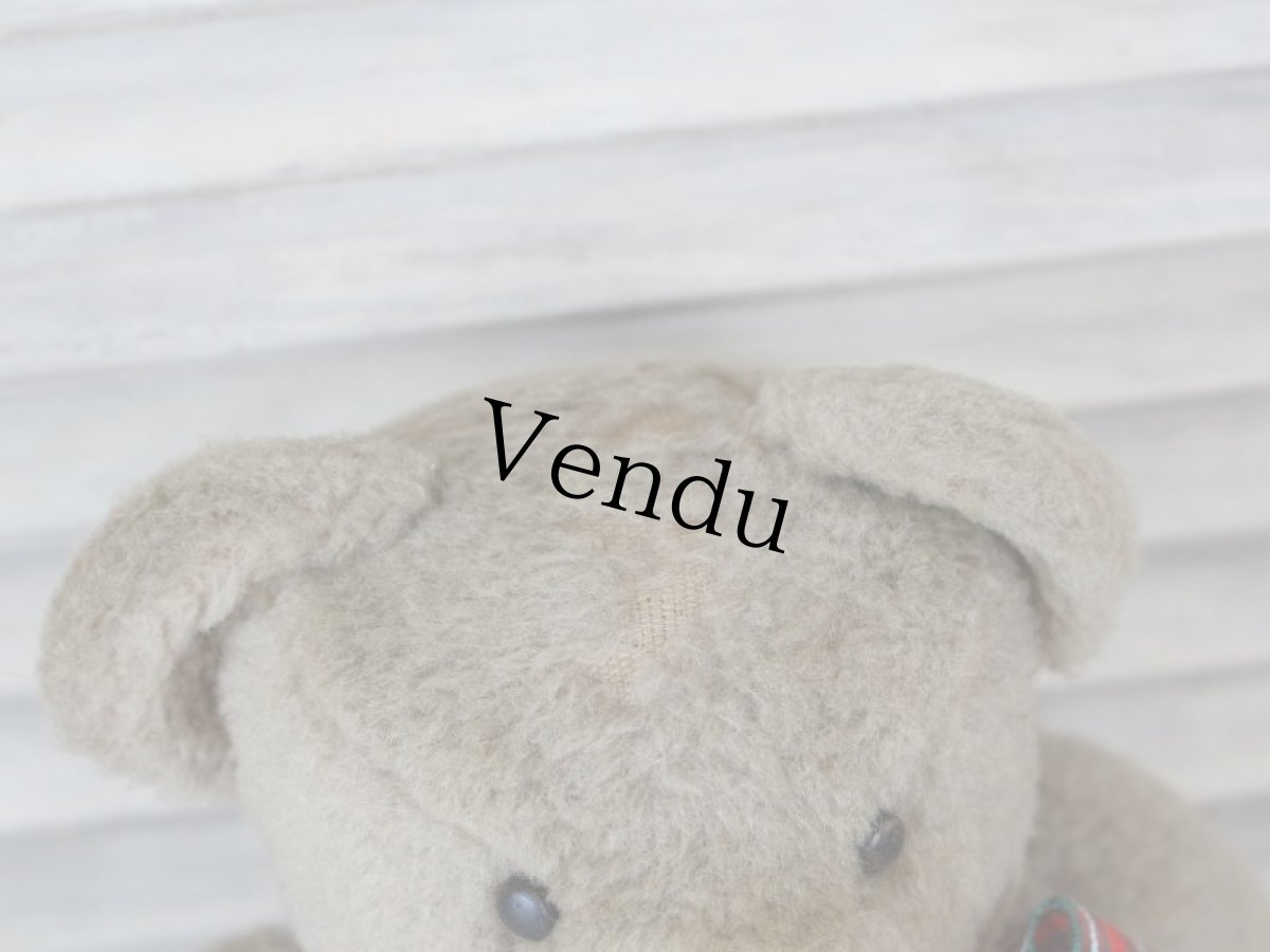 画像8: ベージュのフレンチベア (8)