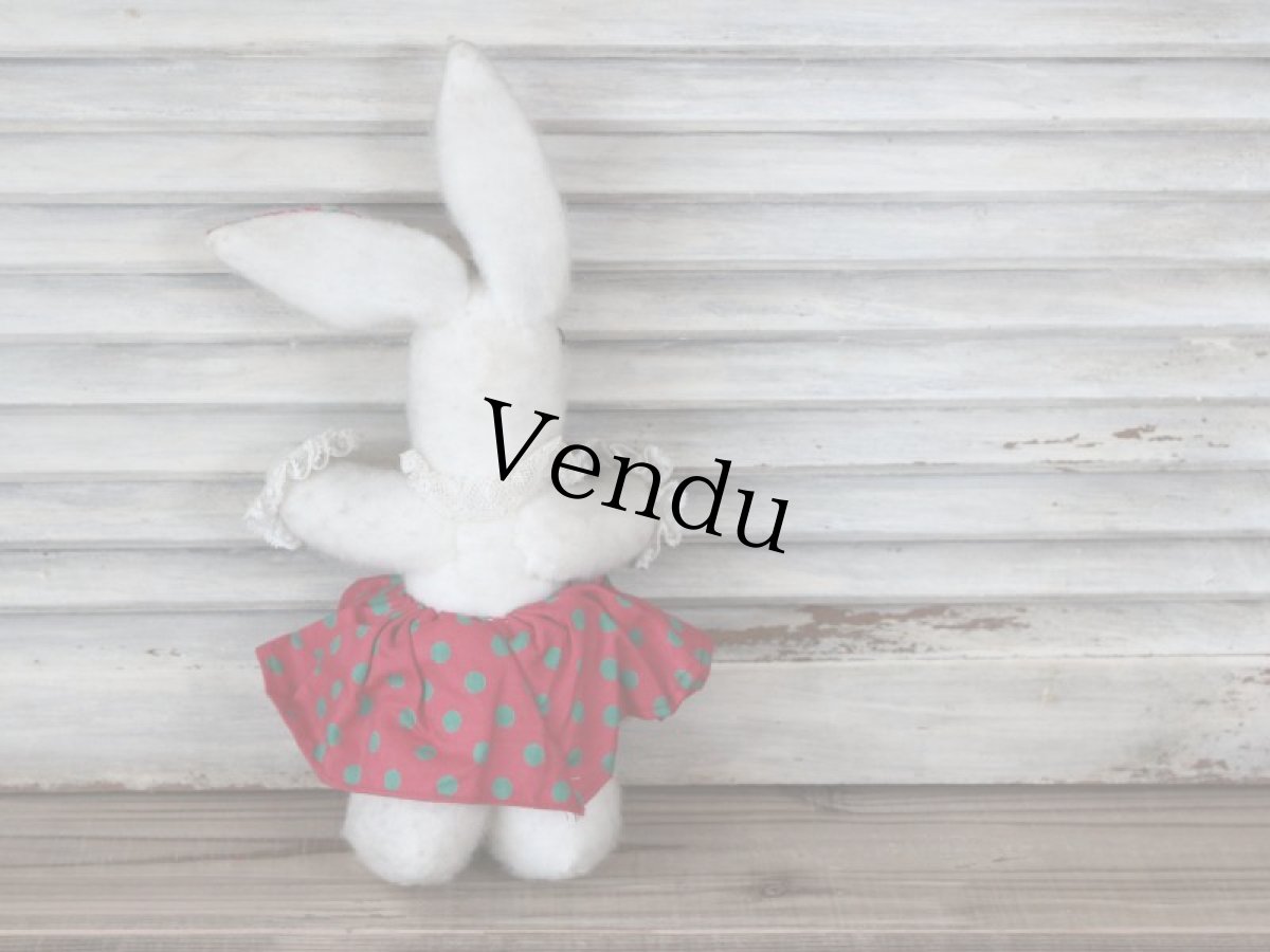 画像4: ドット耳の白兎/French (4)