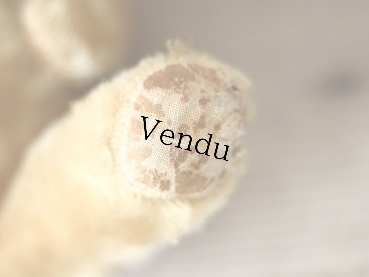 画像13: 赤いカーデガンのチルターン (13)