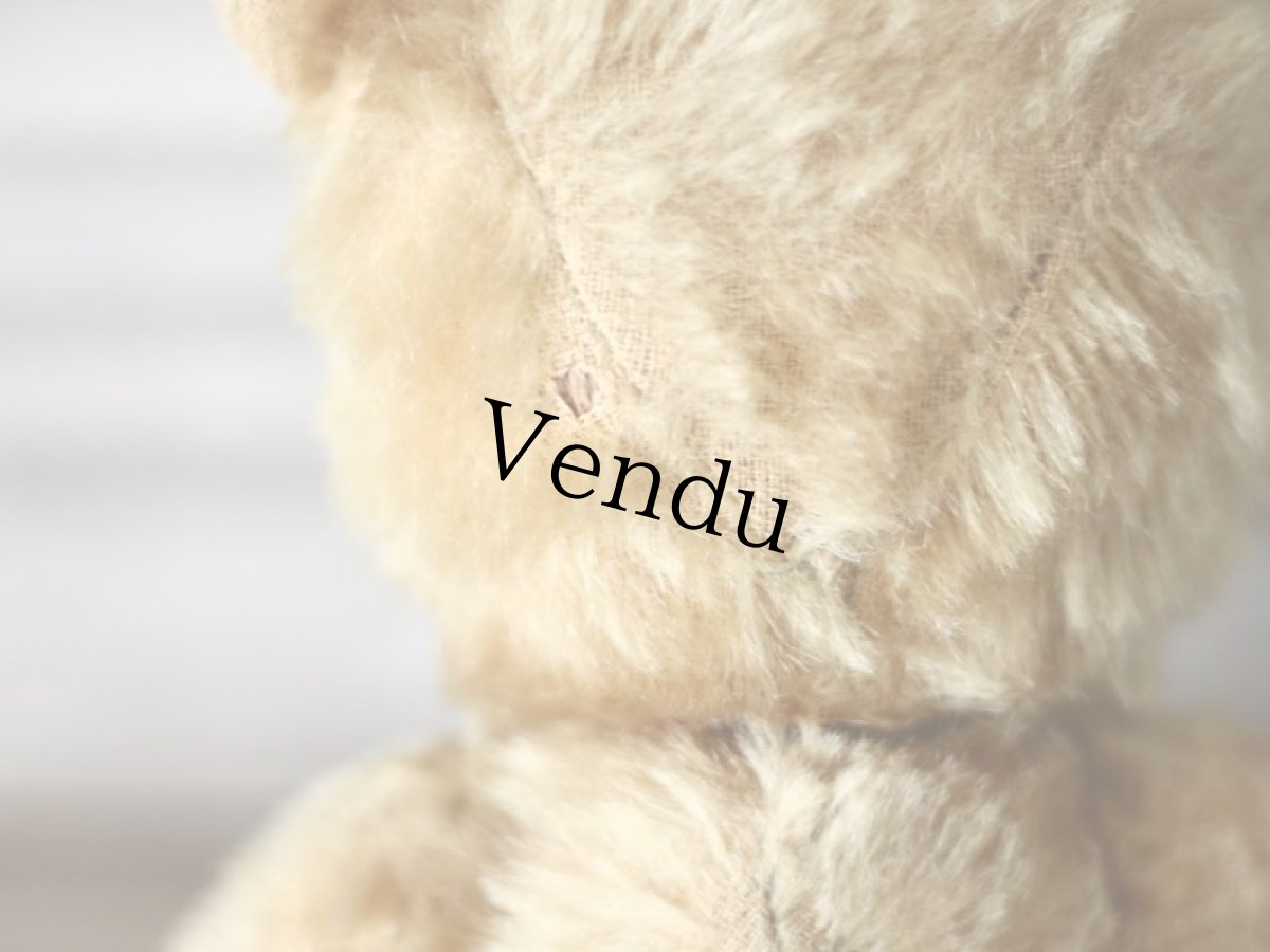 画像15: 赤いカーデガンのチルターン (15)