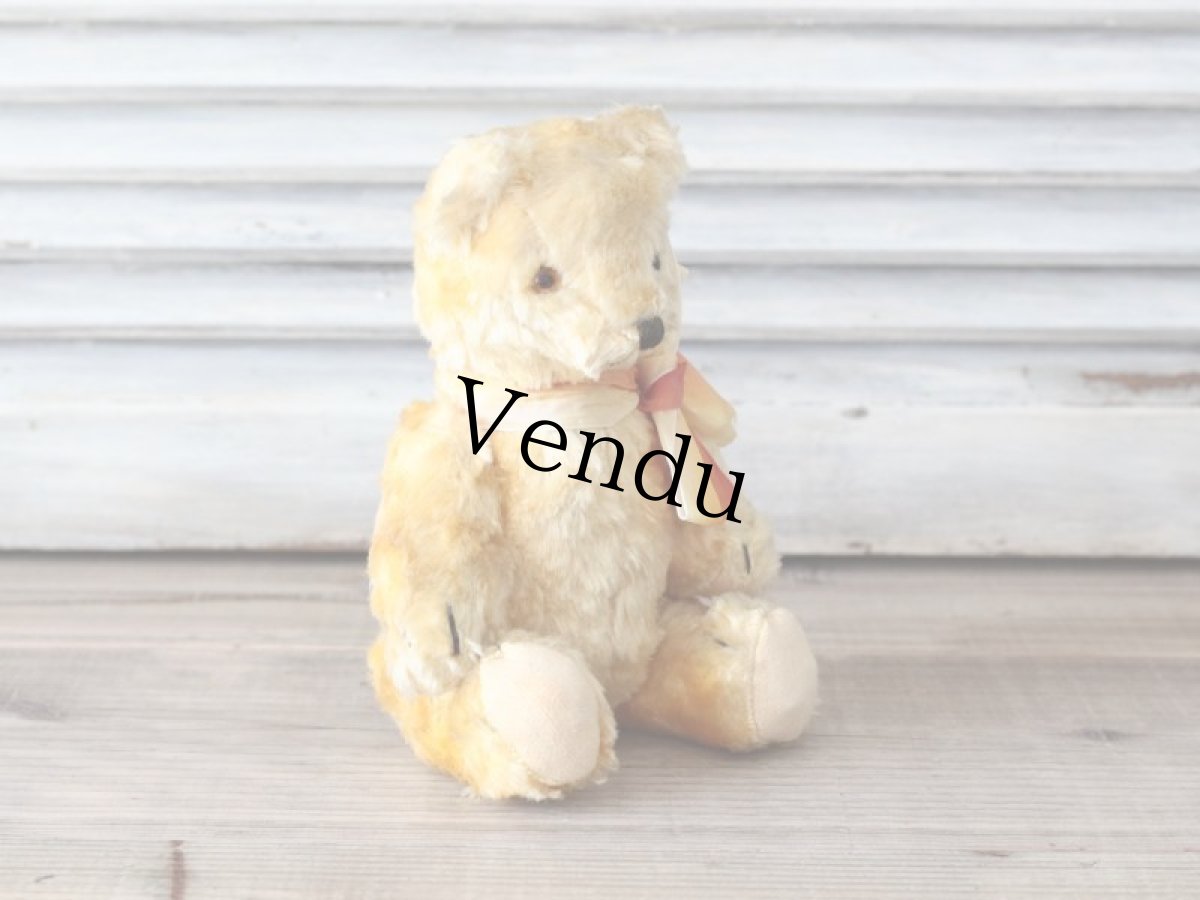 画像6: 黄色いフレンチベア/France (6)