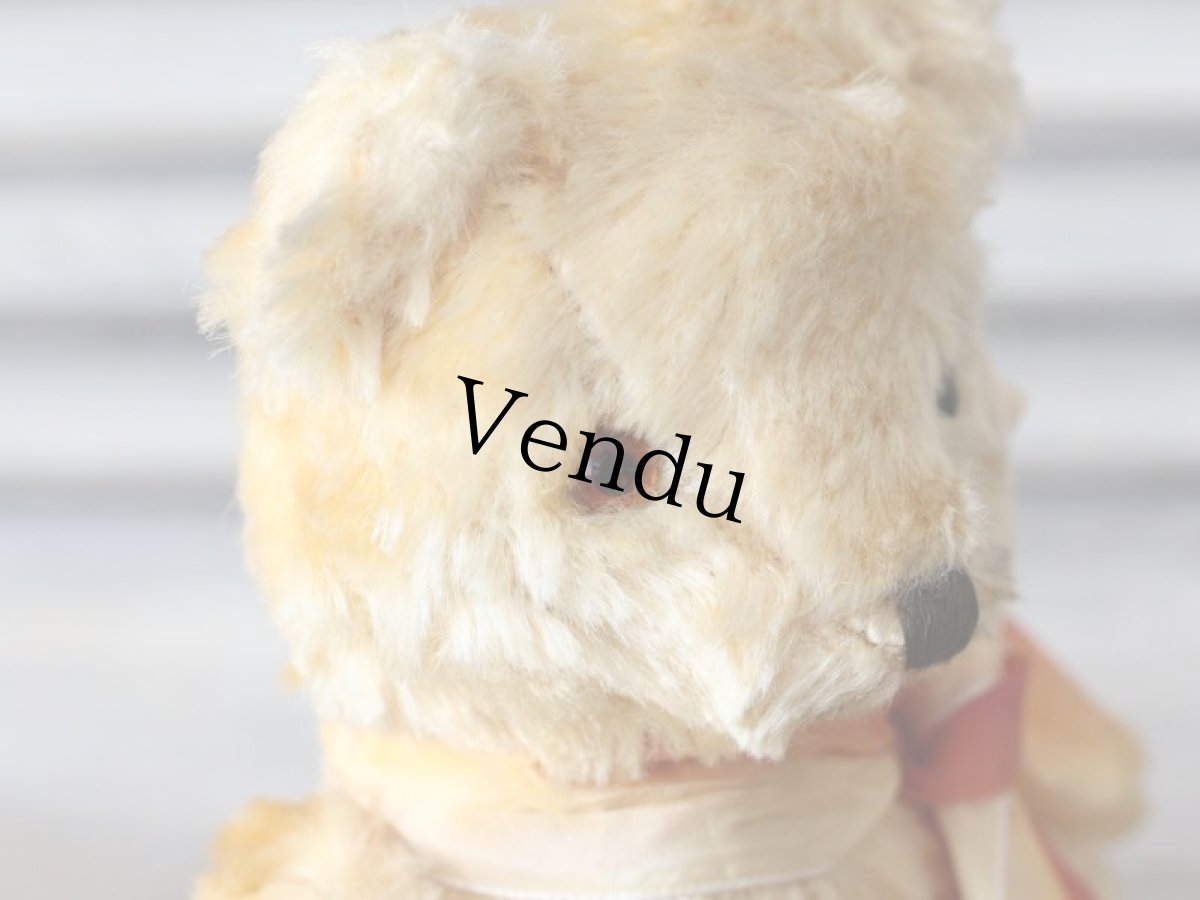 画像3: 黄色いフレンチベア/France (3)