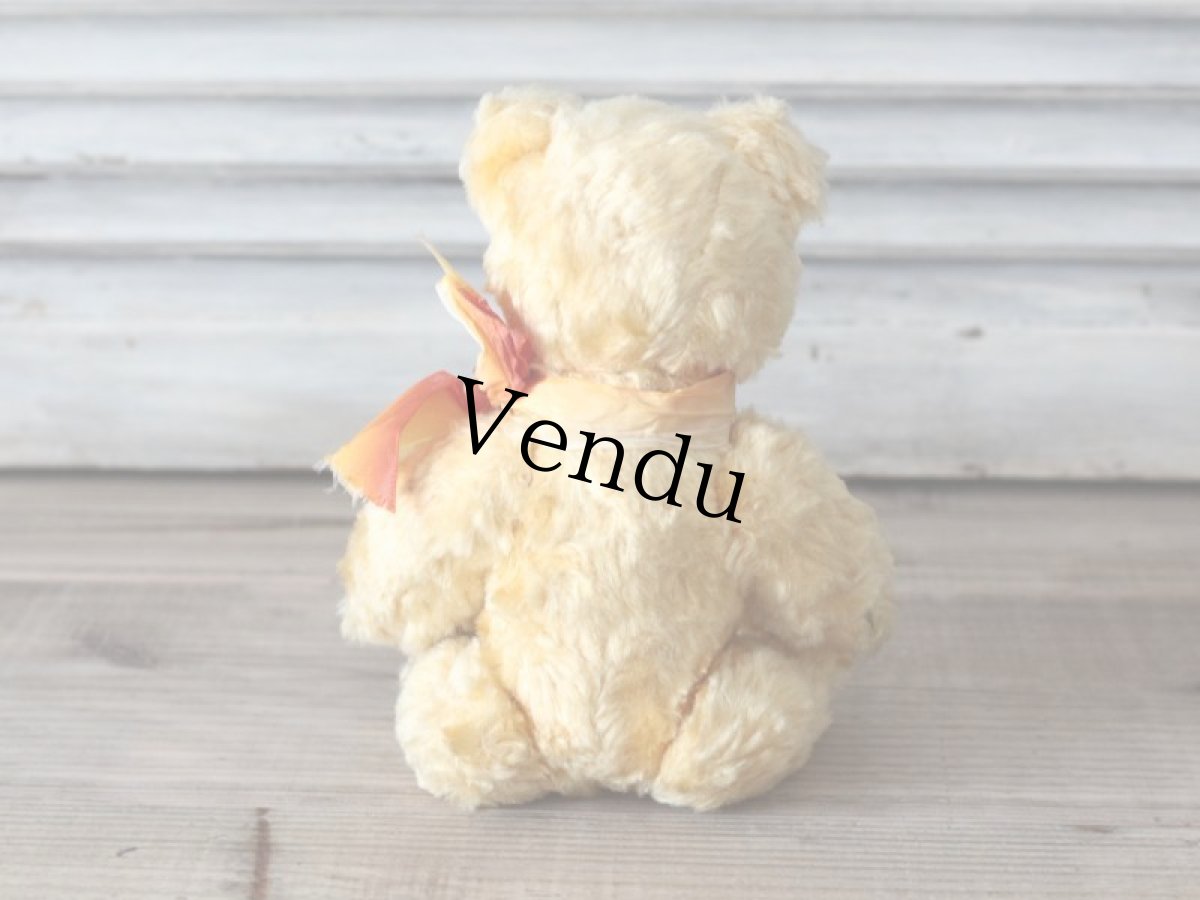 画像8: 黄色いフレンチベア/France (8)