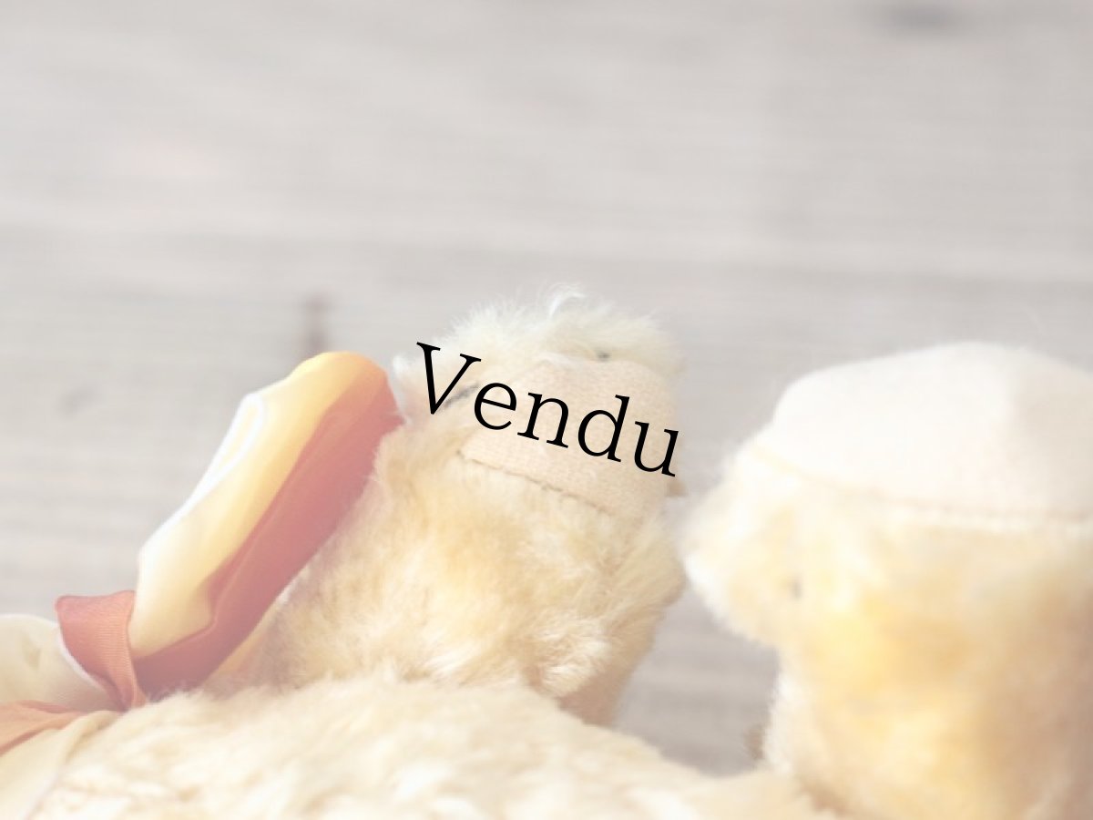 画像9: 黄色いフレンチベア/France (9)