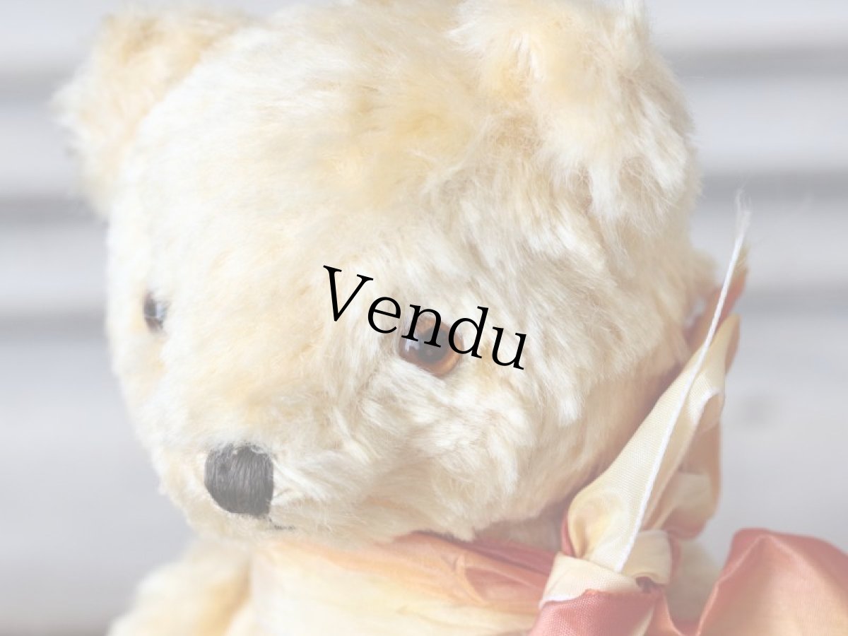 画像4: 黄色いフレンチベア/France (4)