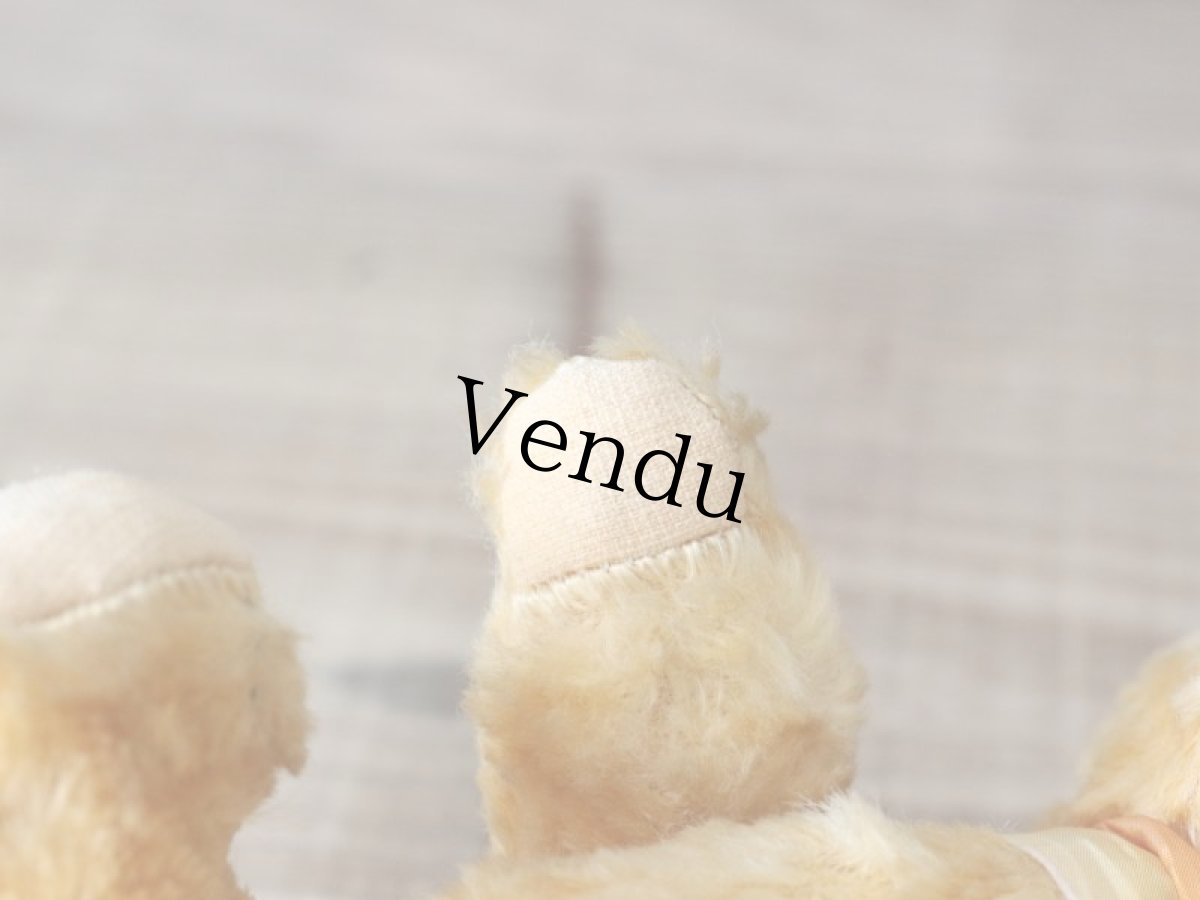 画像10: 黄色いフレンチベア/France (10)