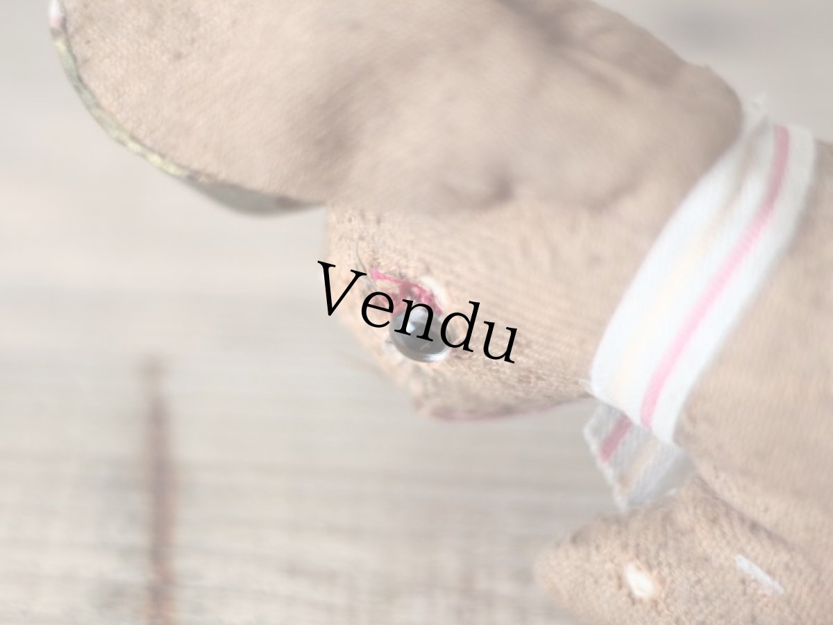 画像5: ホロホロラビット (5)