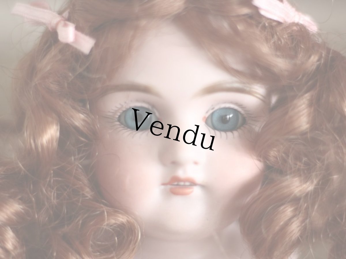 画像6: Kestner Shoulder Head/Germany (6)