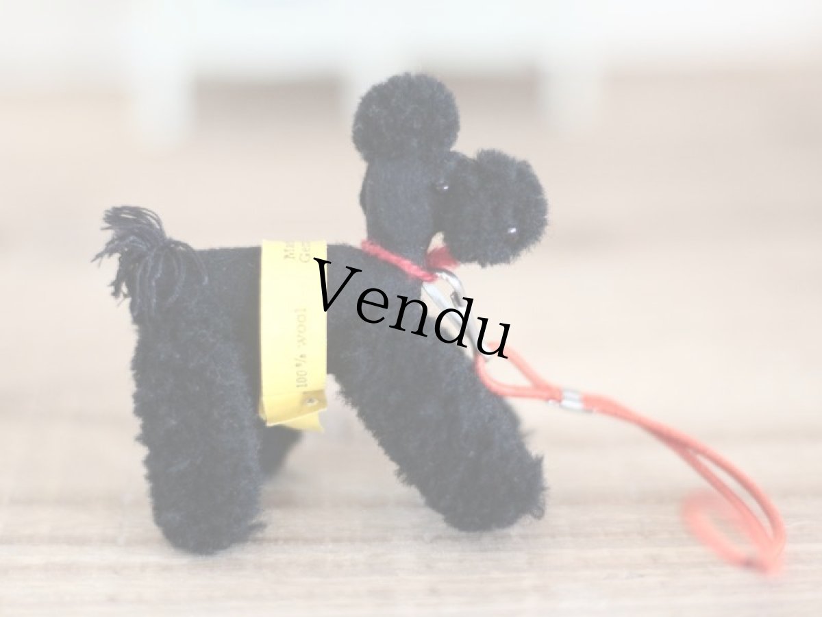 画像4: Steiff Miniature Poodle Black/Germany (4)