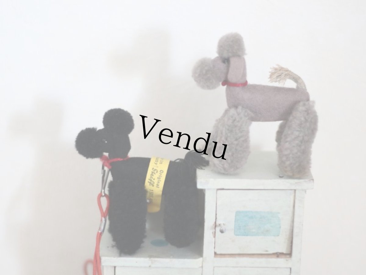 画像5: Steiff Miniature Poodle Black/Germany (5)