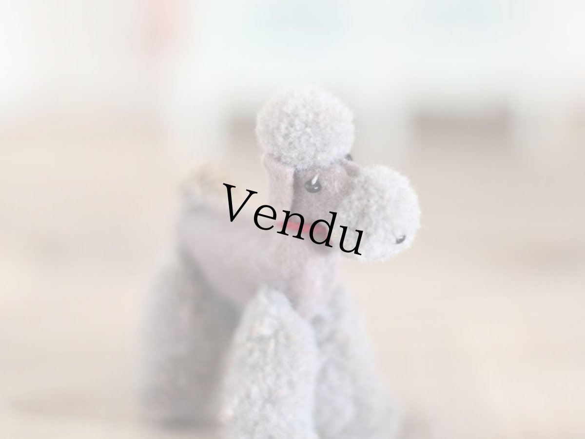 画像4: Steiff Miniature Poodle Gray/Germany (4)