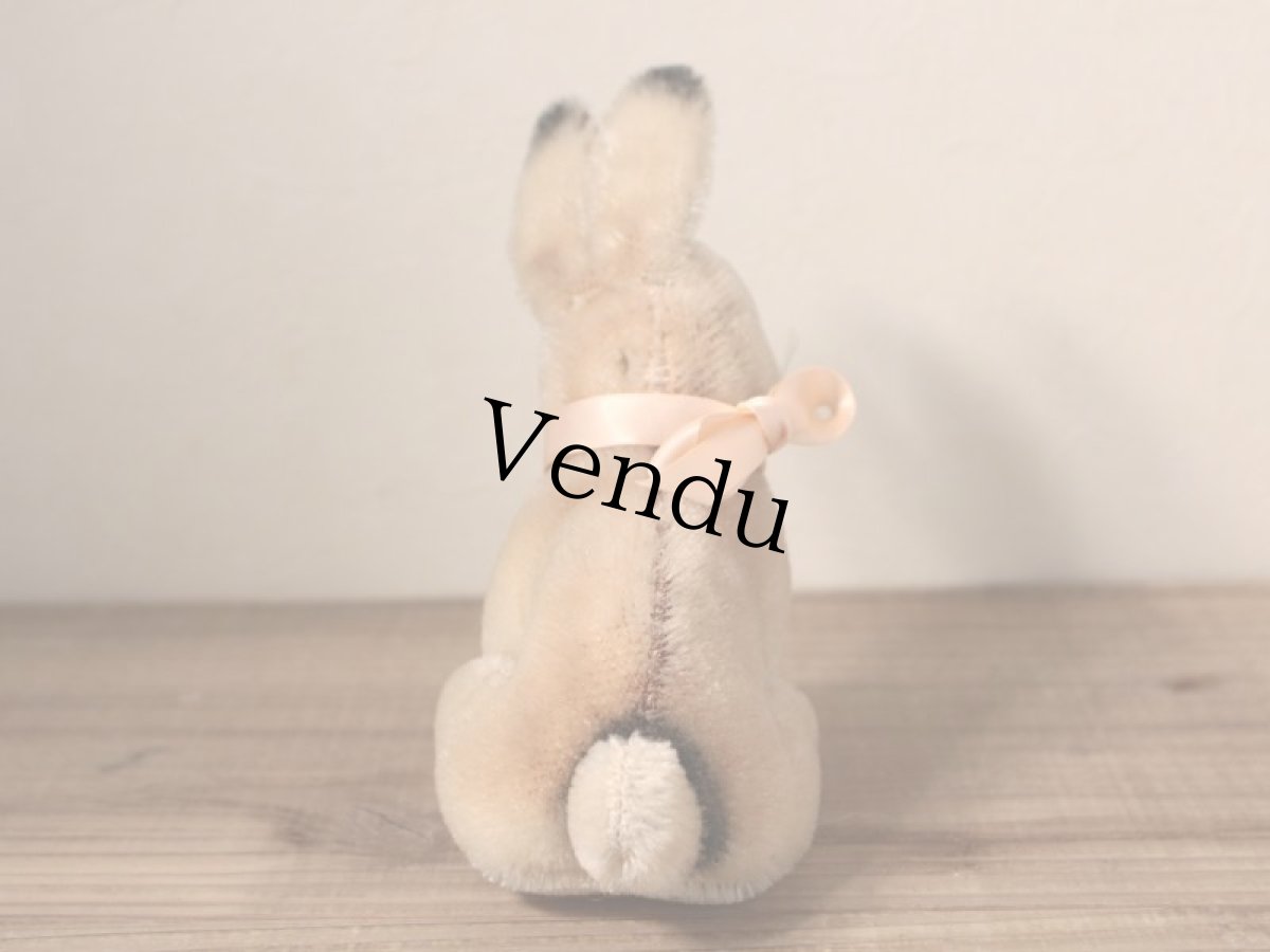 画像5: Hermann Rabbit/Germany (5)