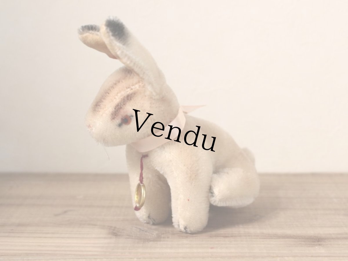 画像4: Hermann Rabbit/Germany (4)