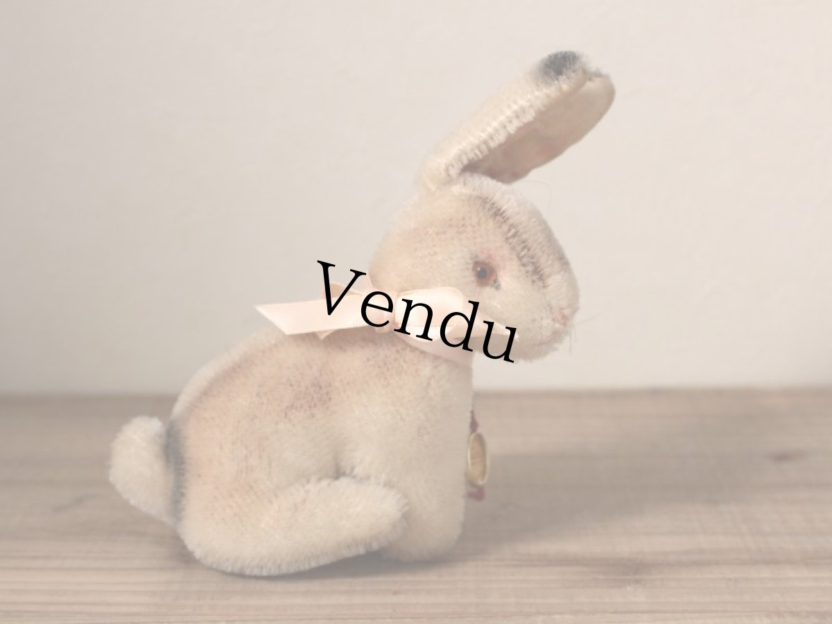 画像6: Hermann Rabbit/Germany (6)