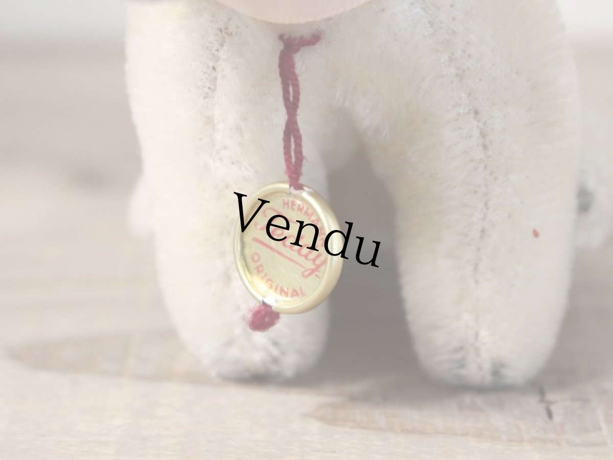 画像7: Hermann Rabbit/Germany (7)