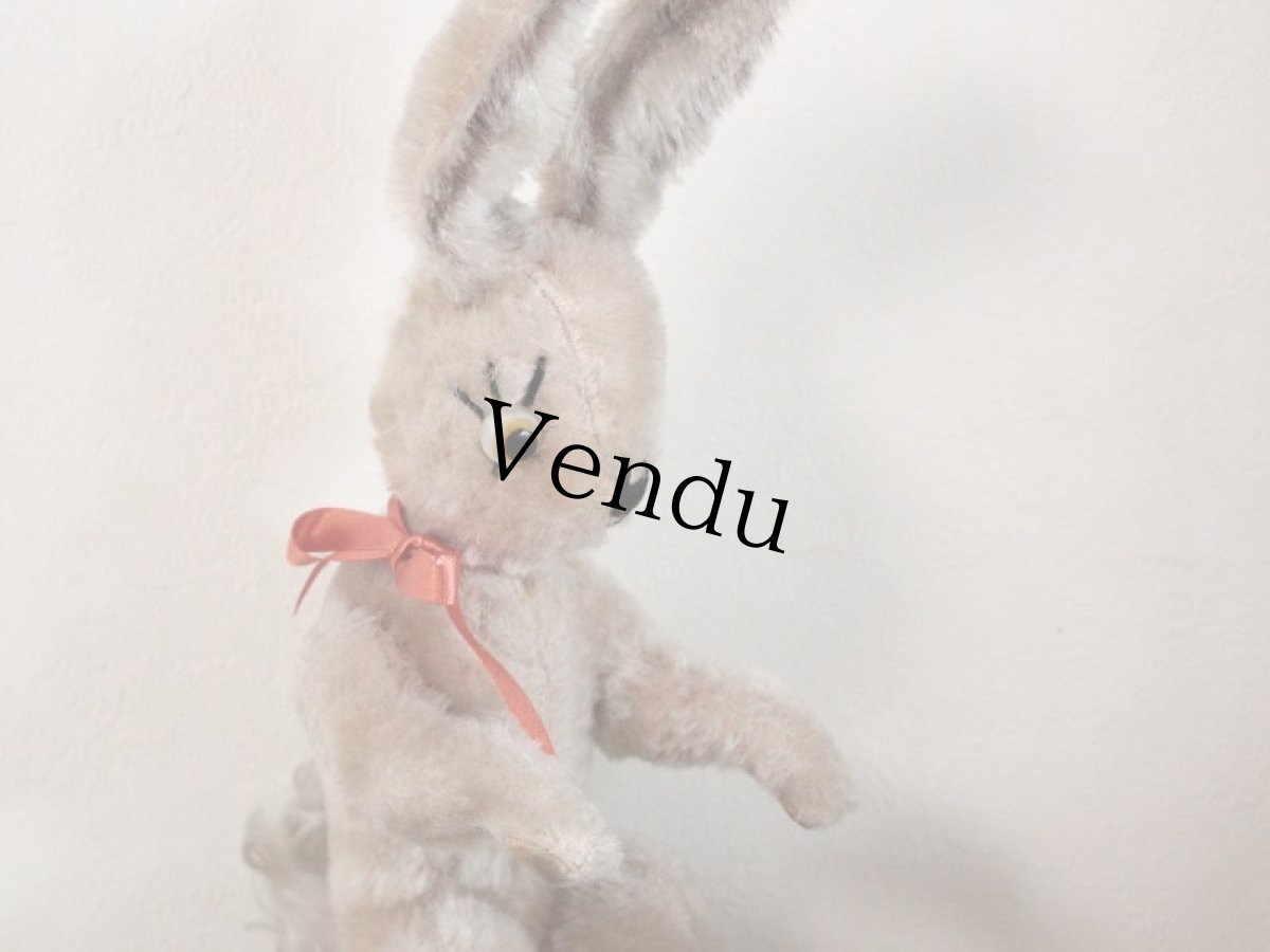 画像7: レア Cute Anker Rabbit/Germany (7)