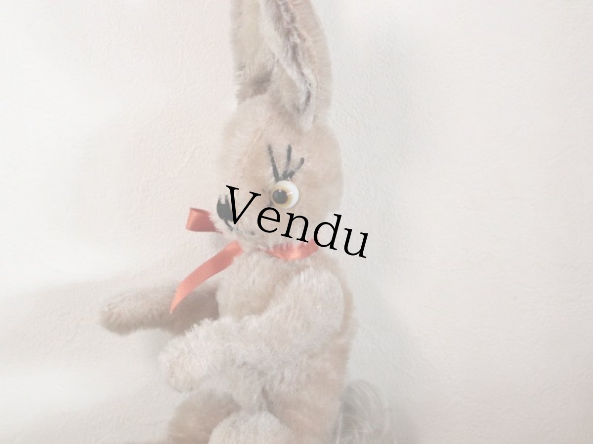 画像6: レア Cute Anker Rabbit/Germany (6)