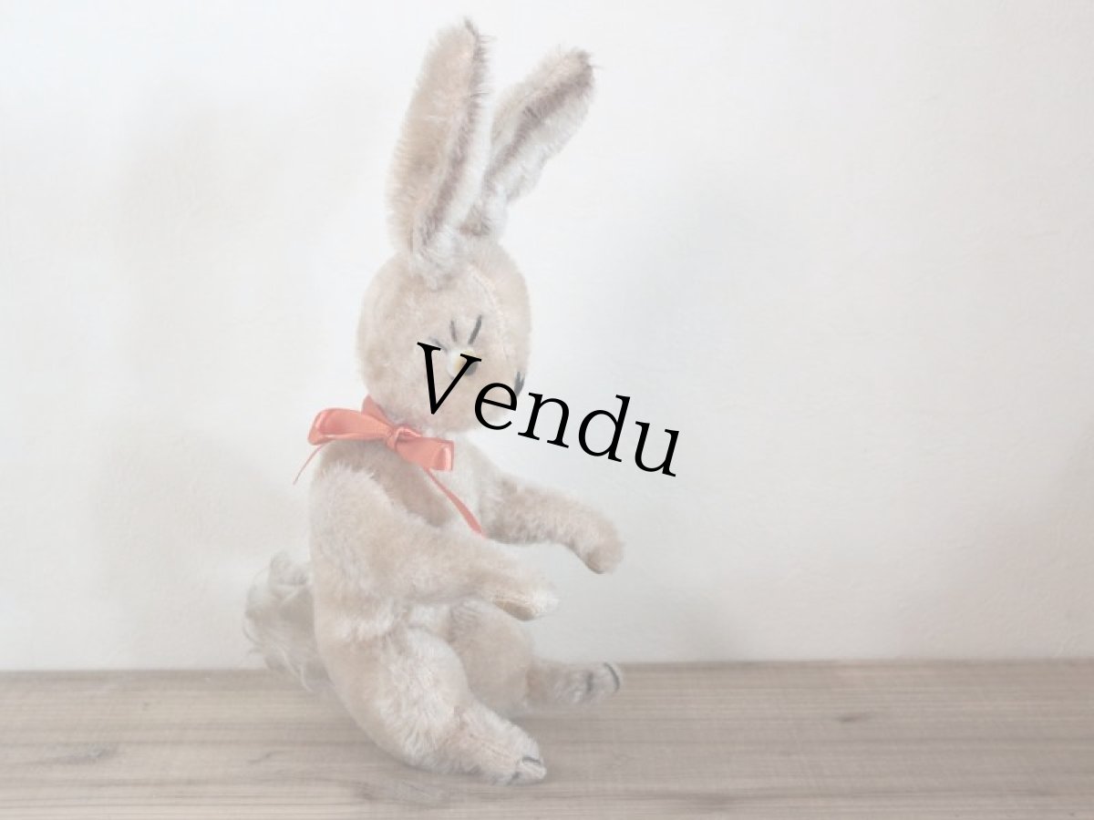 画像5: レア Cute Anker Rabbit/Germany (5)