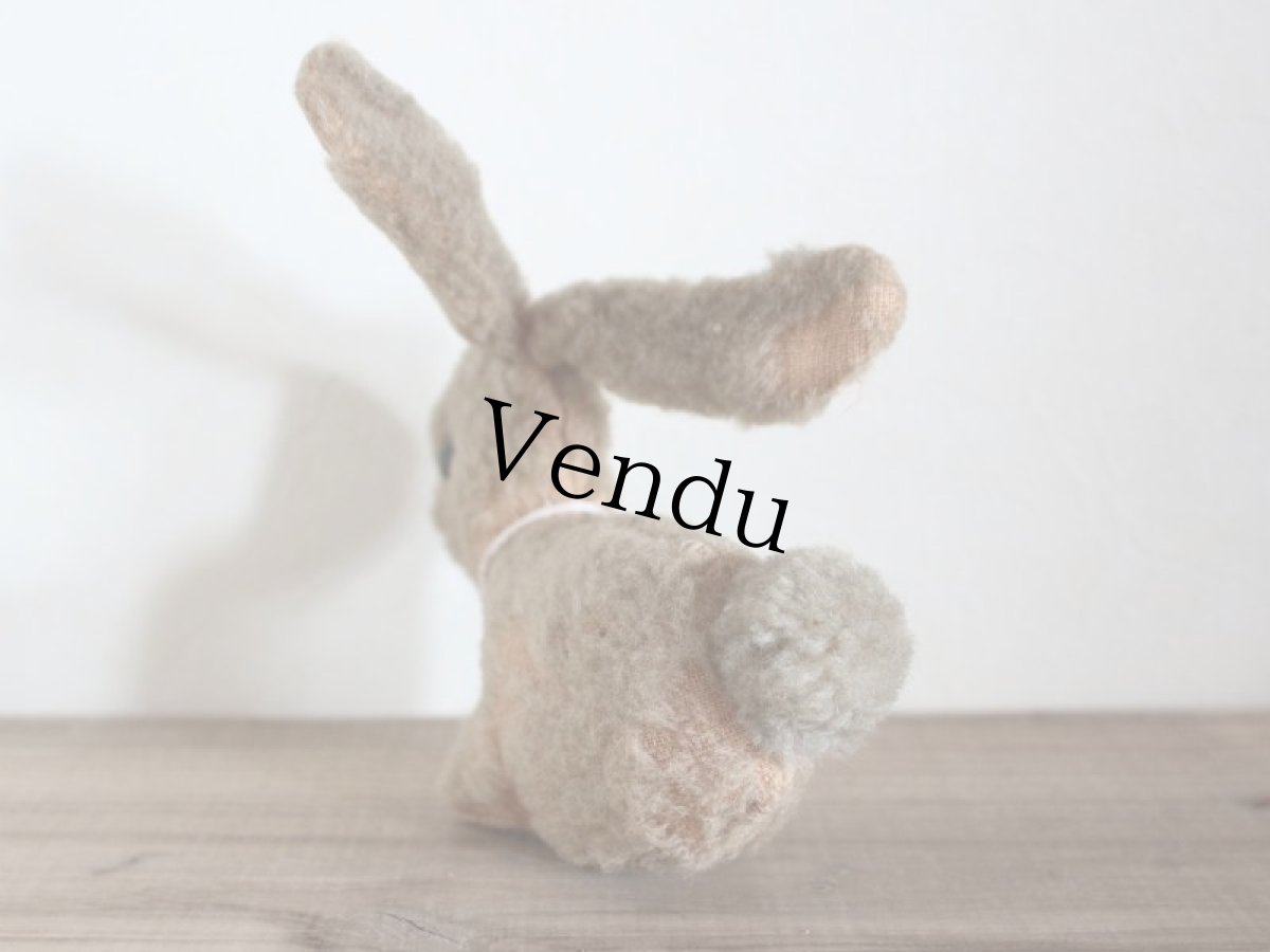 画像3: ホロホロラビットB (3)