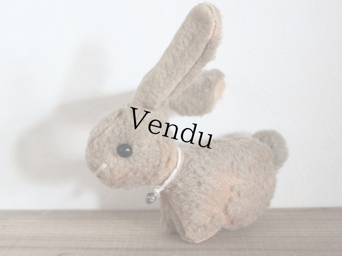 画像2: ホロホロラビットB (2)