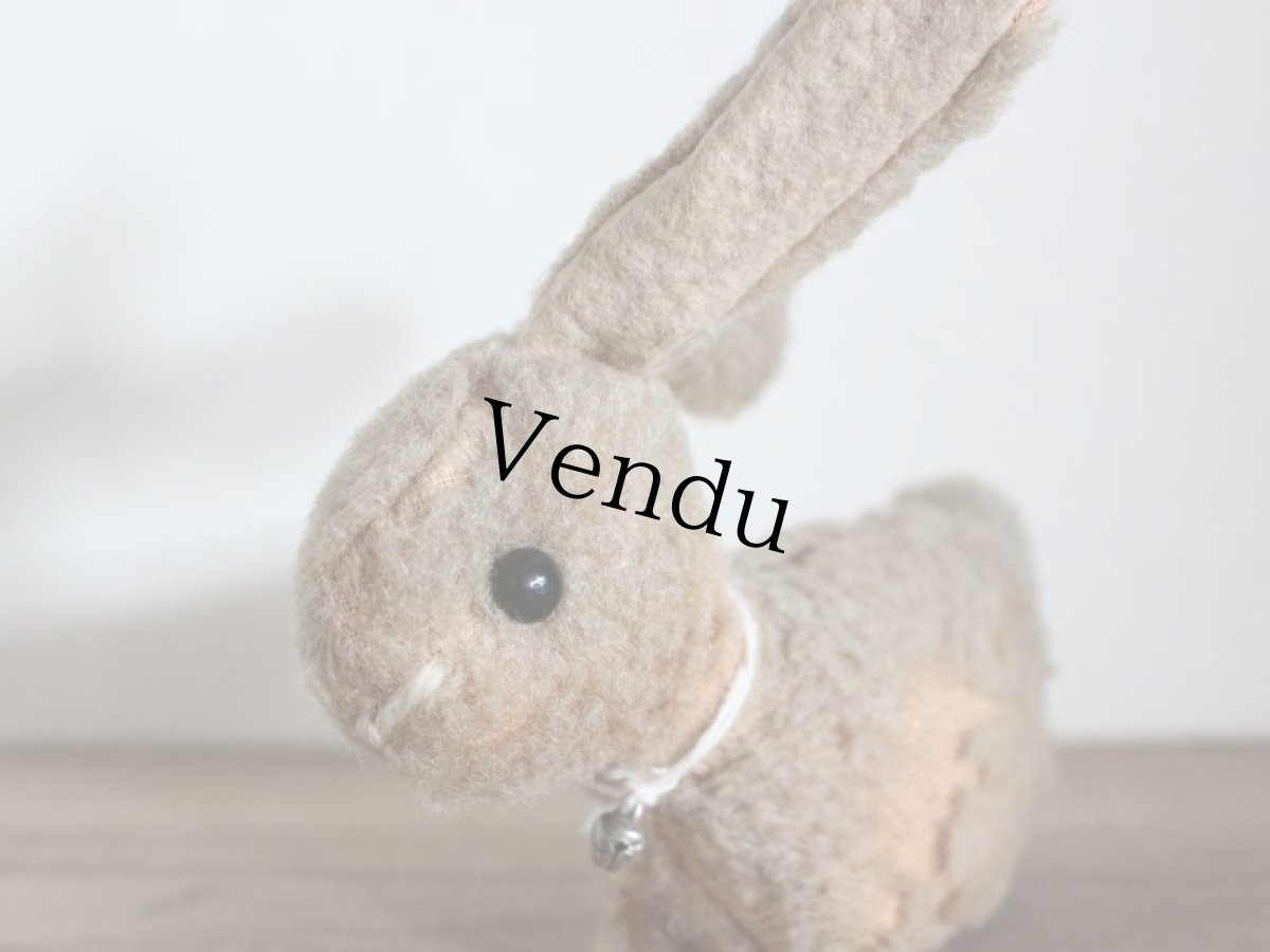 画像5: ホロホロラビットB (5)