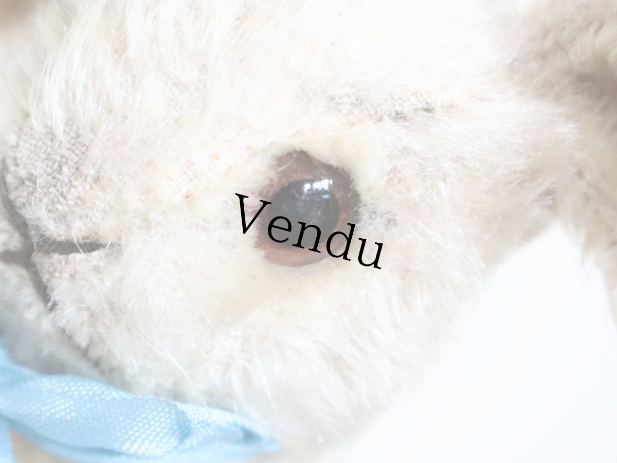 画像9: Steiff Changeable Rabbit/Germany (9)