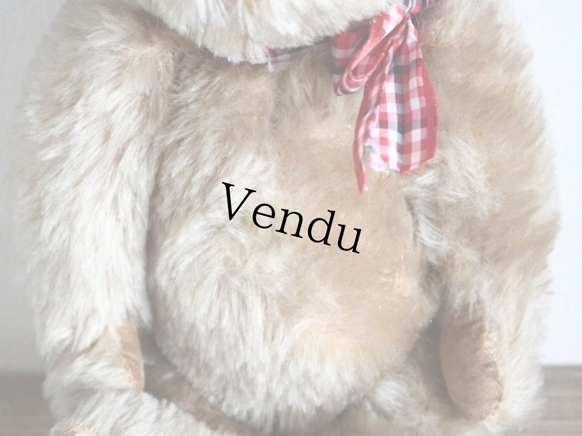 画像5: Antique Bear Chiltern/British (5)