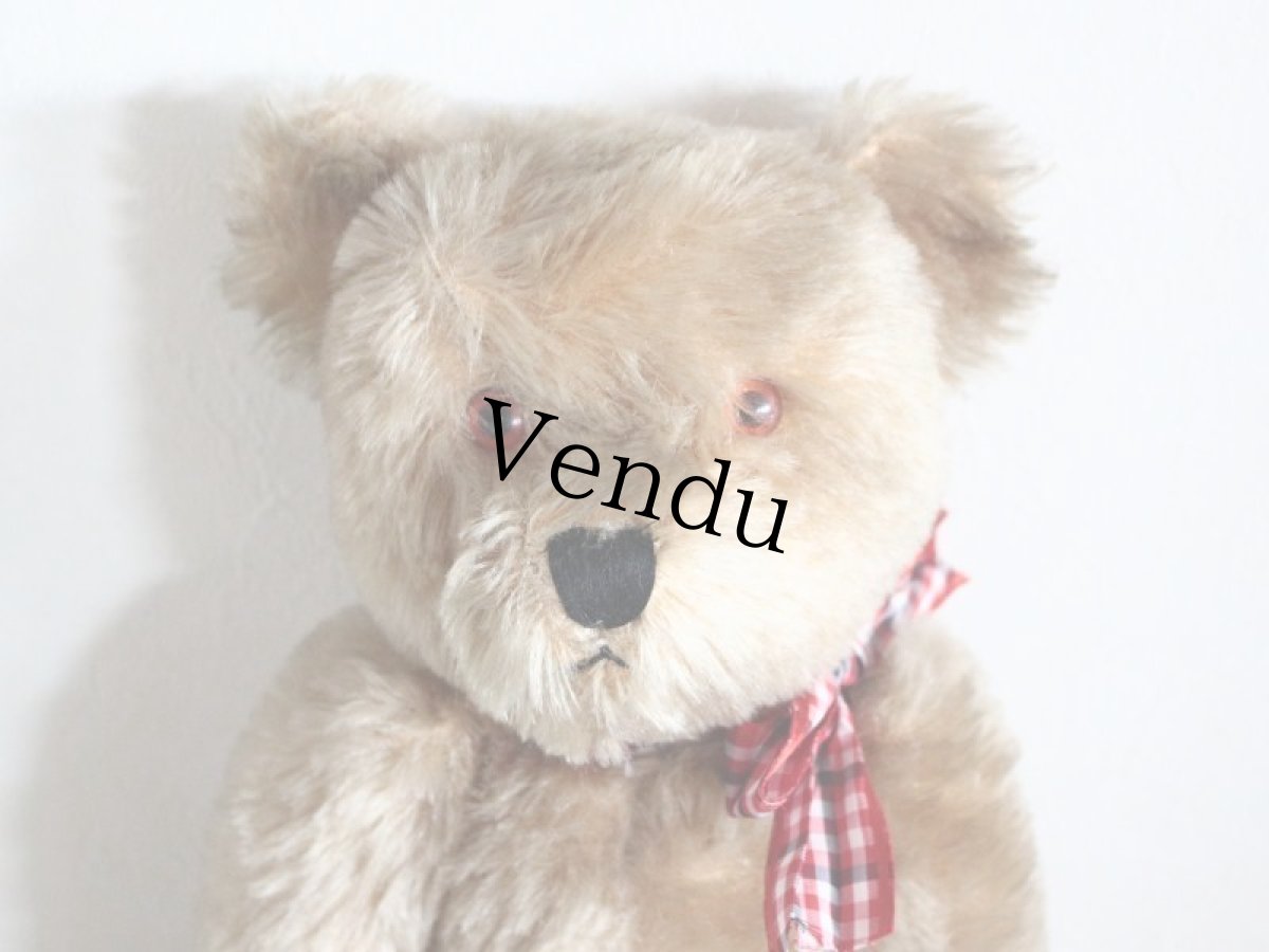 画像2: Antique Bear Chiltern/British (2)