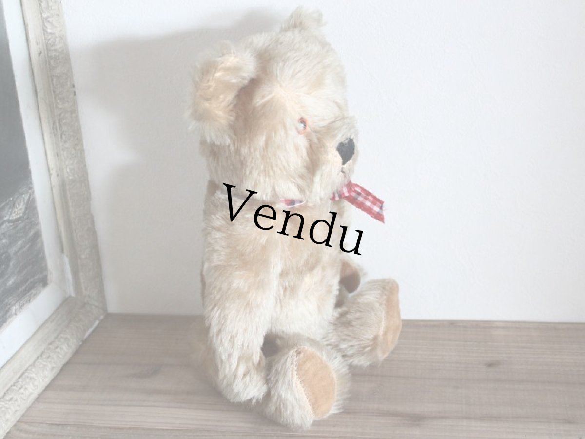 画像7: Antique Bear Chiltern/British (7)