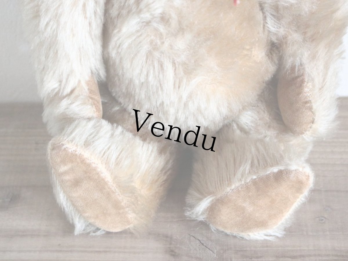 画像6: Antique Bear Chiltern/British (6)