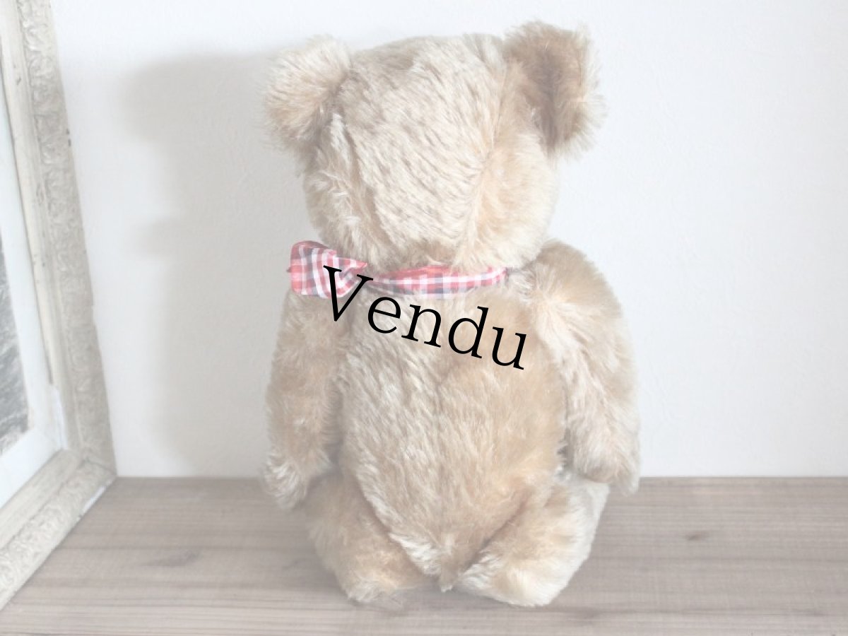 画像9: Antique Bear Chiltern/British (9)