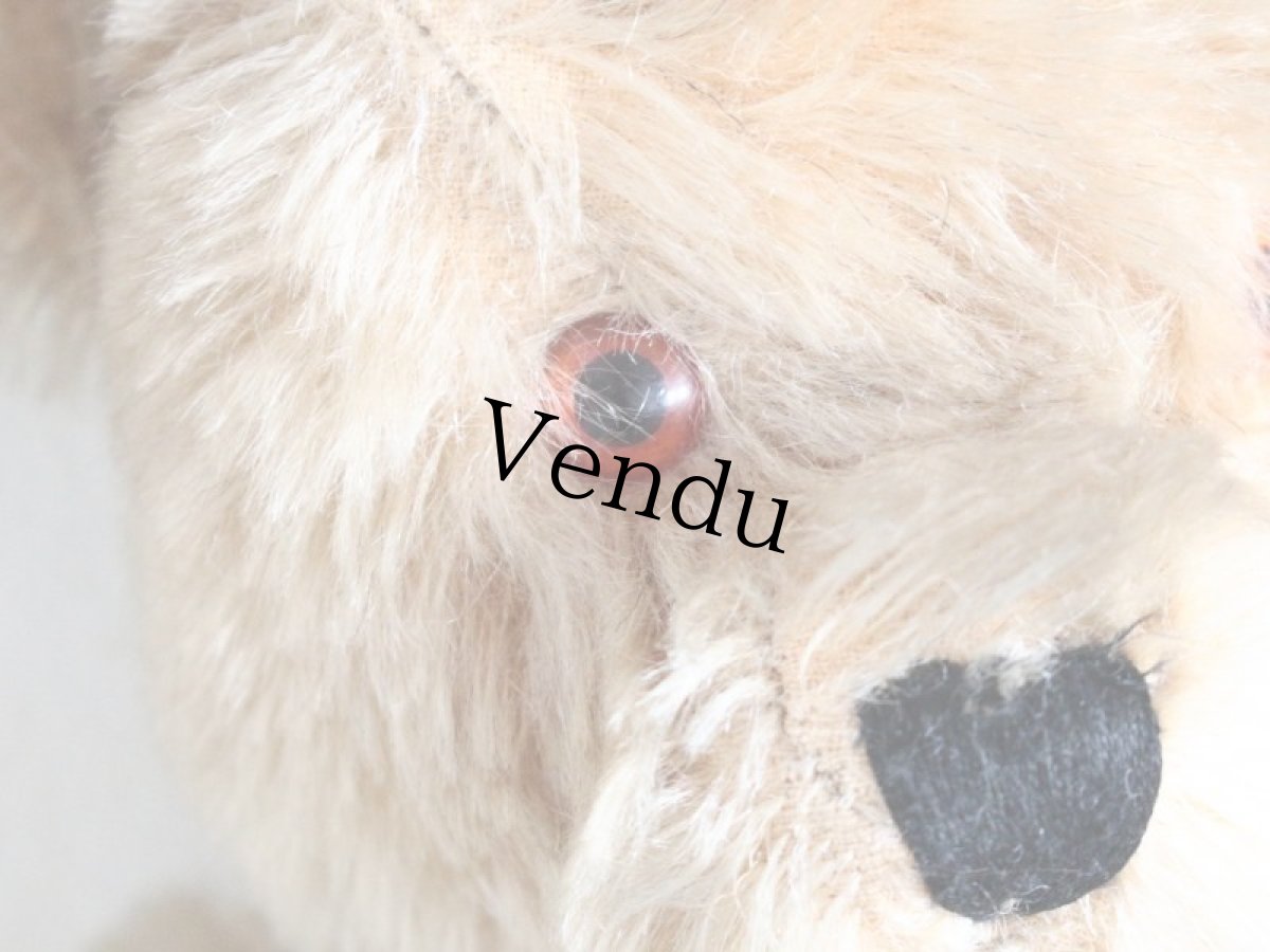 画像3: Antique Bear Chiltern/British (3)