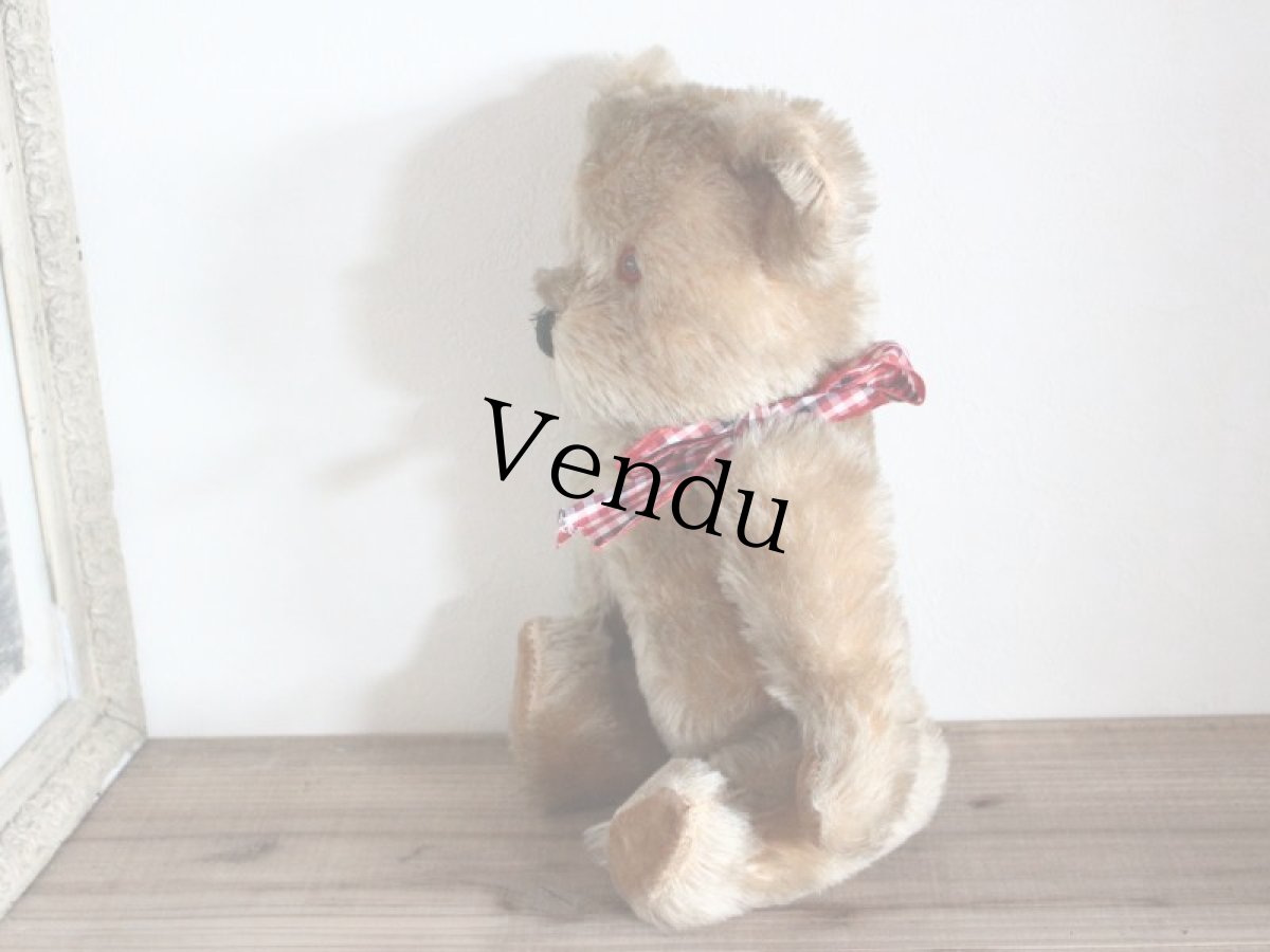 画像8: Antique Bear Chiltern/British (8)