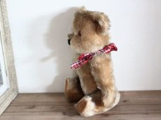 画像8: Antique Bear Chiltern/British (8)