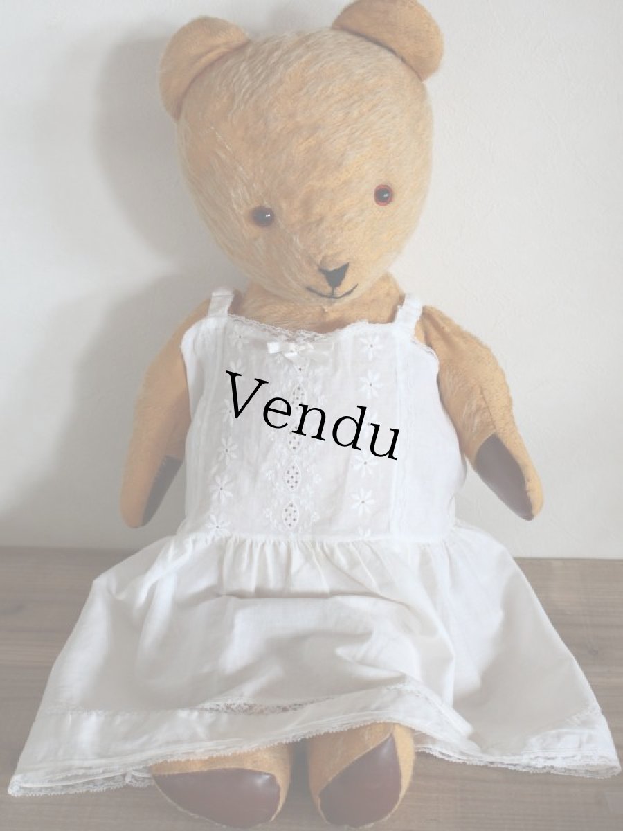 画像10: Antique Bear/Sailor collar (10)