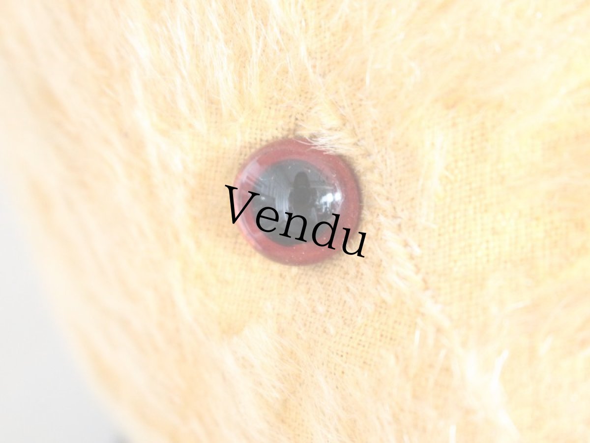 画像8: Antique Bear/Sailor collar (8)