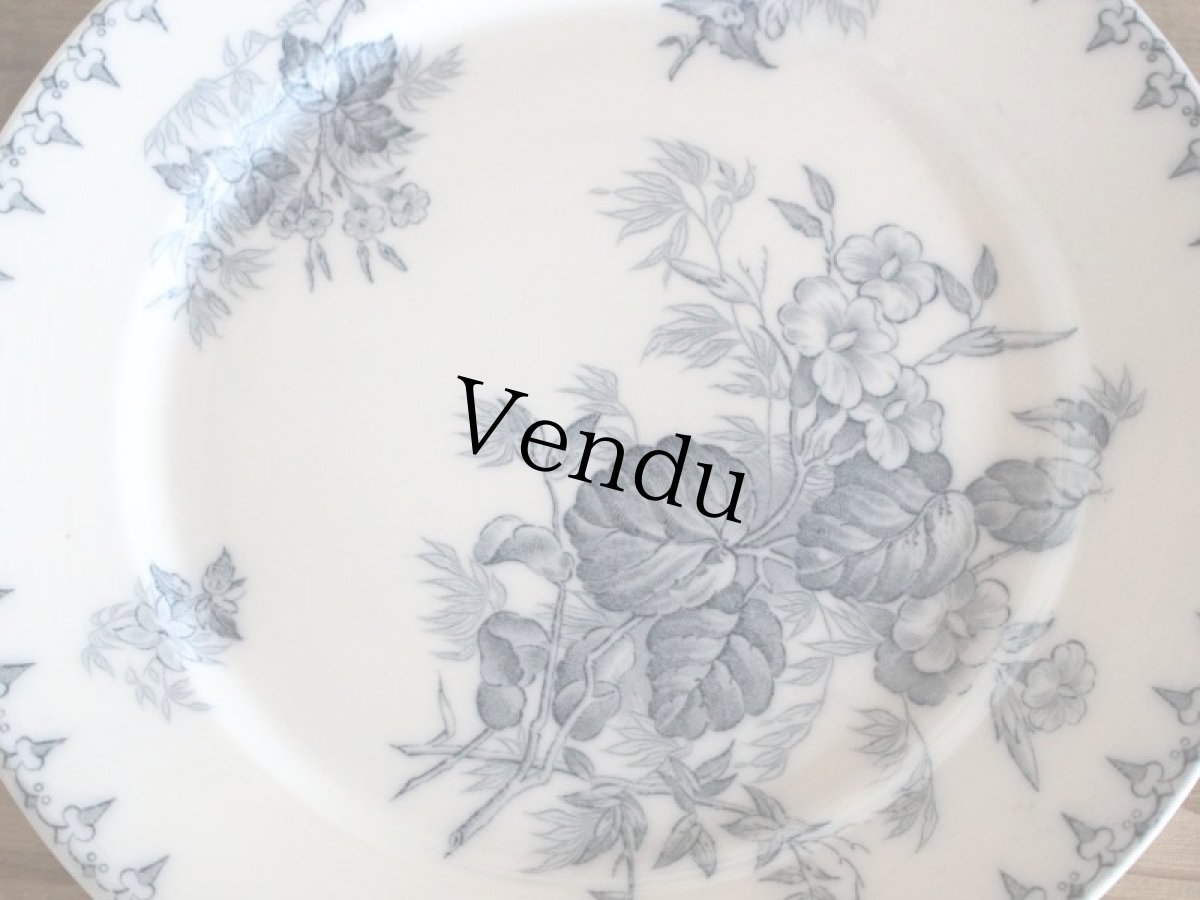 画像2: Sarreguemines FLORE プレート 23.5cm/France/サルグミンヌ (2)