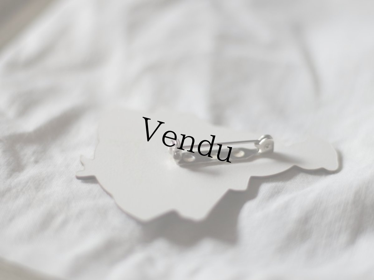 画像4: 貴婦人のブローチ (4)