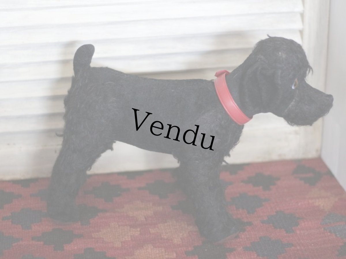 画像6: 赤い首輪のワンコ/フランス蚤の市 (6)