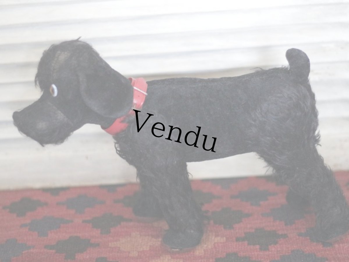 画像4: 赤い首輪のワンコ/フランス蚤の市 (4)