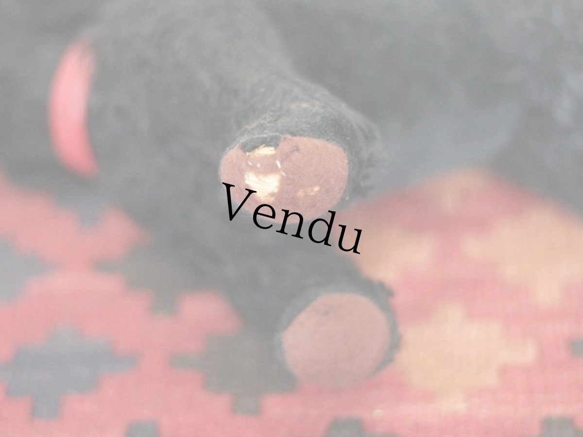 画像8: 赤い首輪のワンコ/フランス蚤の市 (8)