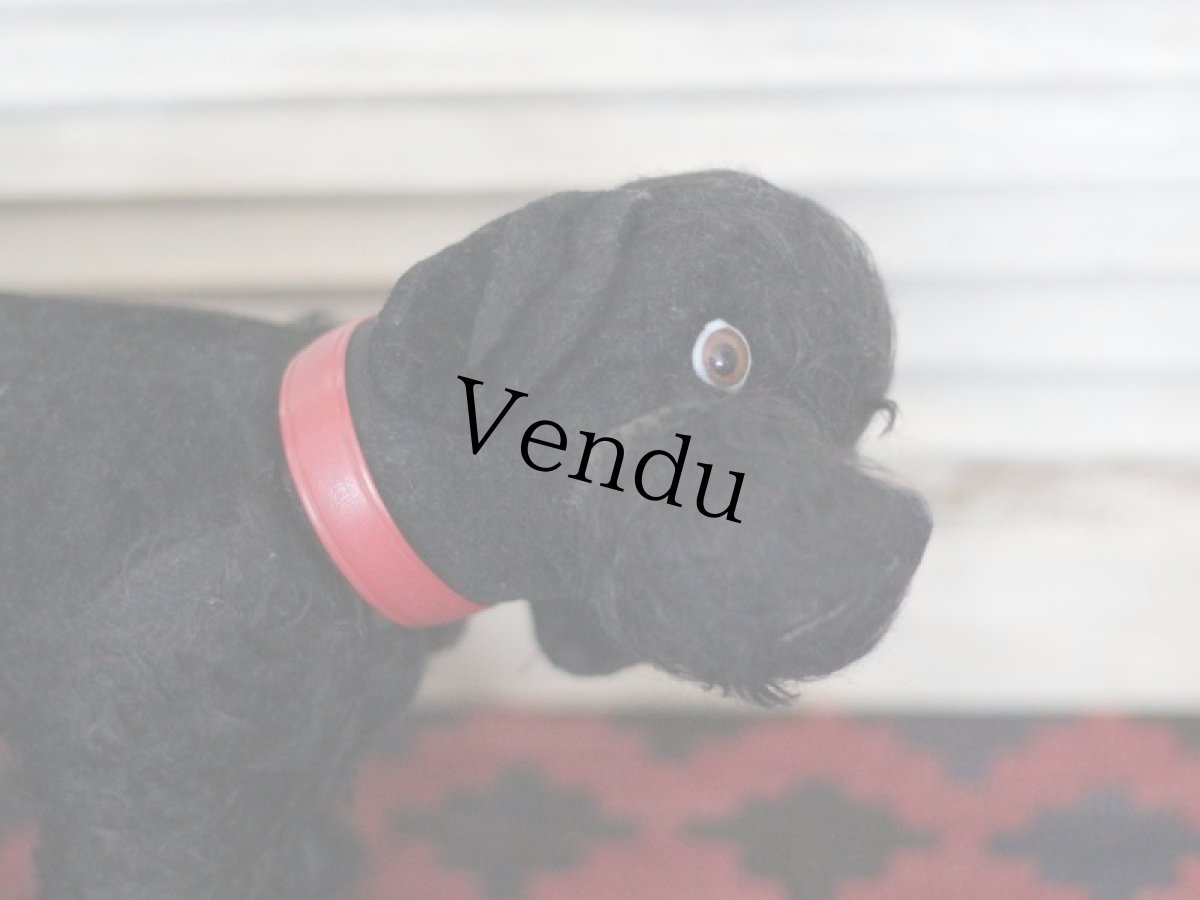 画像7: 赤い首輪のワンコ/フランス蚤の市 (7)