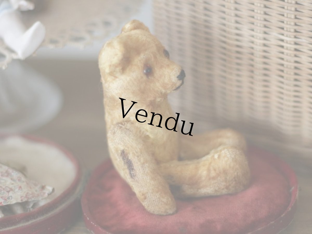 画像9: Antique Mini Bear 5.5in/フランス蚤の市 (9)