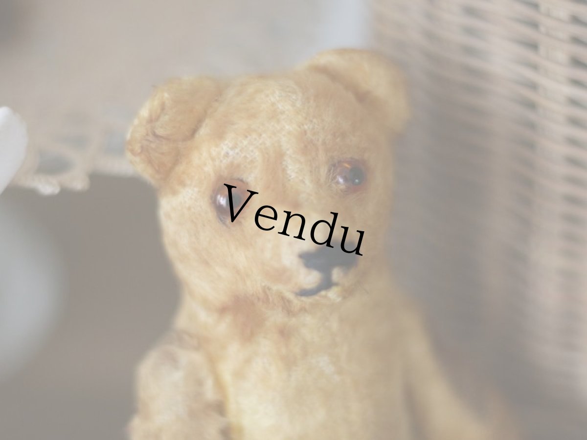 画像2: Antique Mini Bear 5.5in/フランス蚤の市 (2)