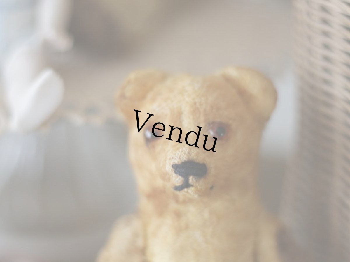 画像4: Antique Mini Bear 5.5in/フランス蚤の市 (4)