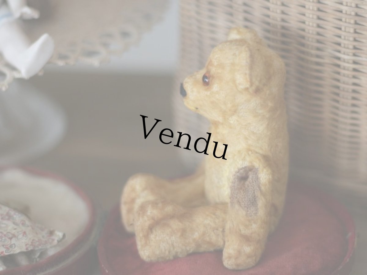 画像10: Antique Mini Bear 5.5in/フランス蚤の市 (10)