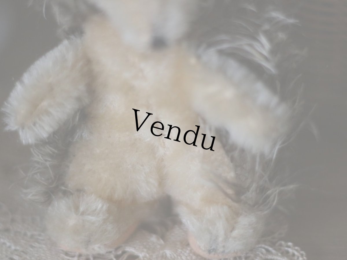 画像3: Antique Steiff Joggi Hedgehog/ヨーロッパ蚤の市 (3)